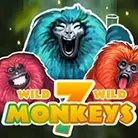 7 Monkeys-