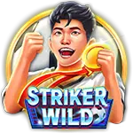 CQ9 Striker WILD-