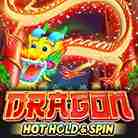 Dragon Hot Hold & Spin-