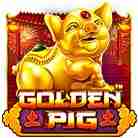 Golden Pig-