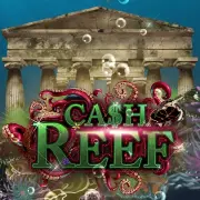 Habanero Cash Reef-