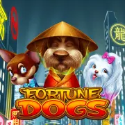 Habanero Fortune Dogs-