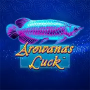 Mario Club AROWANAS LUCK-