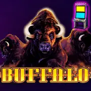 Mario Club BUFFALO-