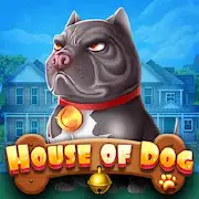 Mario Club HOUSE OF DOG-