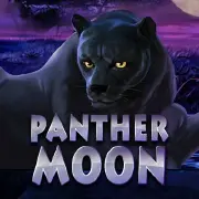 Mario Club PANTHER MOON-