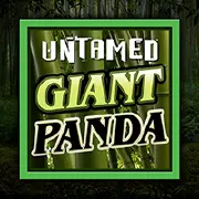 Microgaming Untamed - Giant Panda-