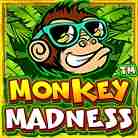 Monkey Madness-