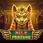 Nile Fortune-