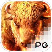 PGSoft Buffalo Win-