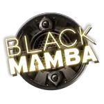 Playngo Black Mamba-