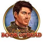 Playngo Book of Dead-