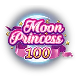 Playngo Moon Princess 100-