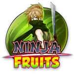 Playngo Ninja Fruits-