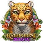 Playngo Rainforest Magic-