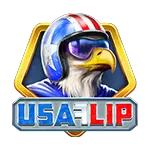 Playngo USA Flip-