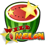 Playngo Wild Melon-