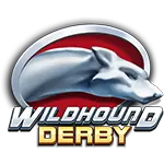 Playngo Wildhound Derby-