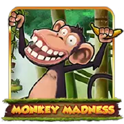 TTG MadMonkey-