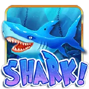 TTG Shark-