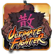 TTG Ultimate fighter-