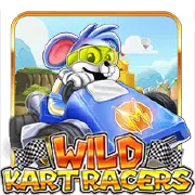 TTG Wild Kart Racers-