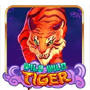 TTG Wild Wild Tiger-