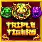 Triple Tigers-